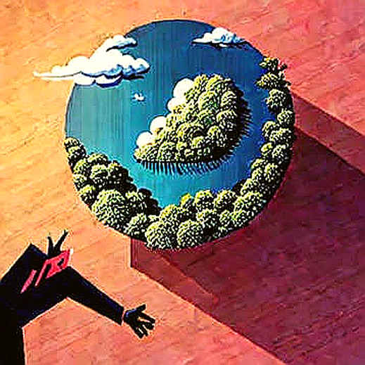 The Sideways Market Trap: Why 87% of Yield Farmers Are Getting Liquidated on Chop