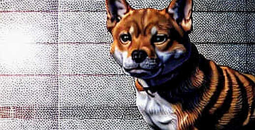 The DNI's Crypto Trap: Why Jay Clayton's Ascendancy Is the Most Underpriced Systemic Risk in the Bear Market The DNI's Crypto Trap: Why Jay Clayton's Ascendancy Is the Most Underpriced Systemic Risk in the Bear Market
