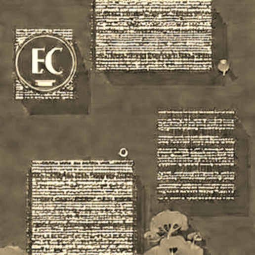 The 1 Wei Response: Moonwell's Race Against Oracle Manipulation