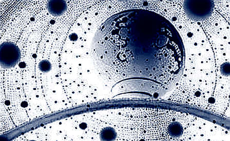 The Ox Alpha Mirage: Why Free AI Won't Save Crypto The Ox Alpha Mirage: Why Free AI Won't Save Crypto