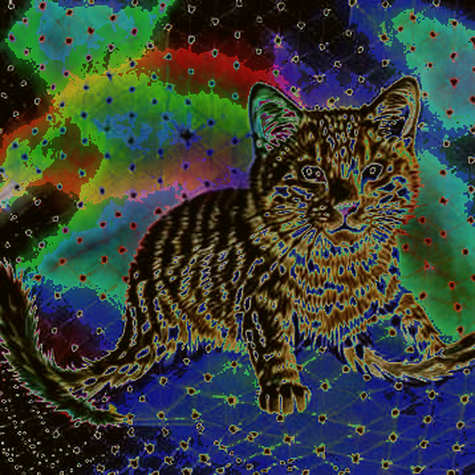 Stargate's Intent Mirage: Liquidity Fragmentation Hidden Behind a UX Layer Stargate's Intent Mirage: Liquidity Fragmentation Hidden Behind a UX Layer