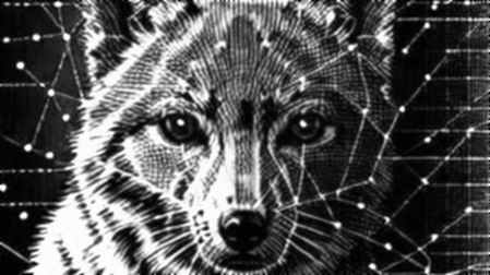 Qwen Image 3.0: The Centralization Trap in AI Imaging—Why Decentralized Compute Is the Only Escape Qwen Image 3.0: The Centralization Trap in AI Imaging—Why Decentralized Compute Is the Only Escape