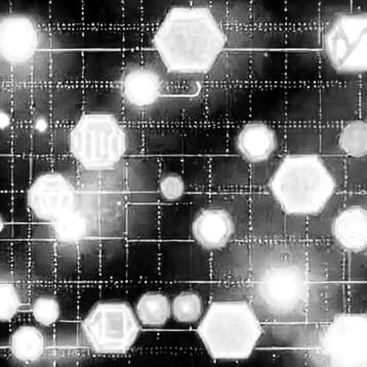 The Ghost in the Bytecode: Google's Big Sleep Just Found a 13-Year-Old Nightmare, and Crypto Should Be Terrified The Ghost in the Bytecode: Google's Big Sleep Just Found a 13-Year-Old Nightmare, and Crypto Should Be Terrified