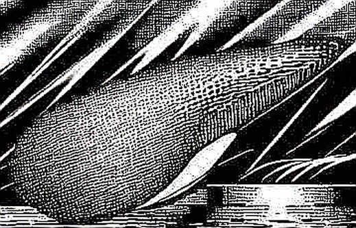 The Wall Street Coup: How Cantor and Susquehanna Just Centralized the Prediction Market The Wall Street Coup: How Cantor and Susquehanna Just Centralized the Prediction Market